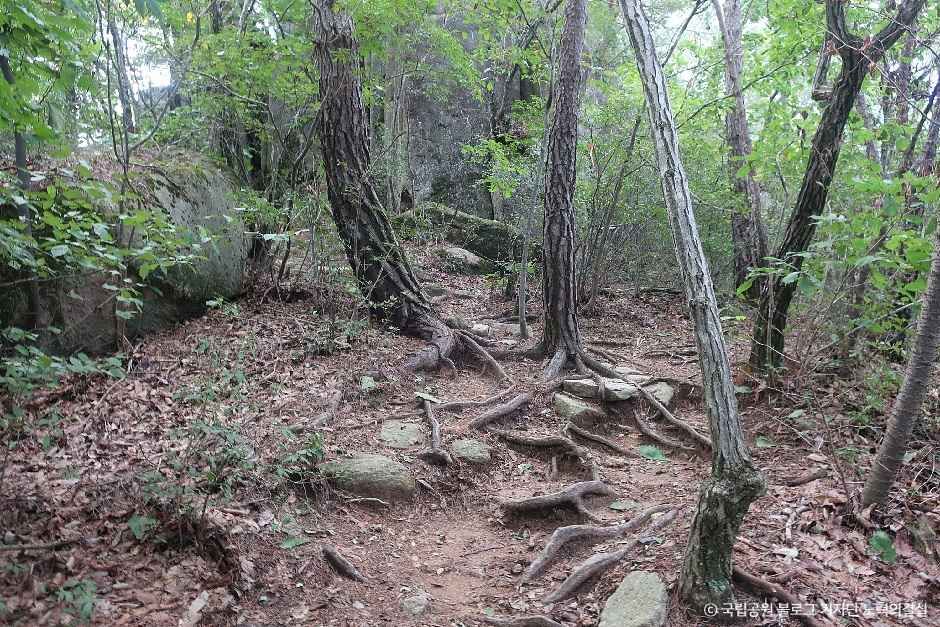 thumbnail-도명산-5