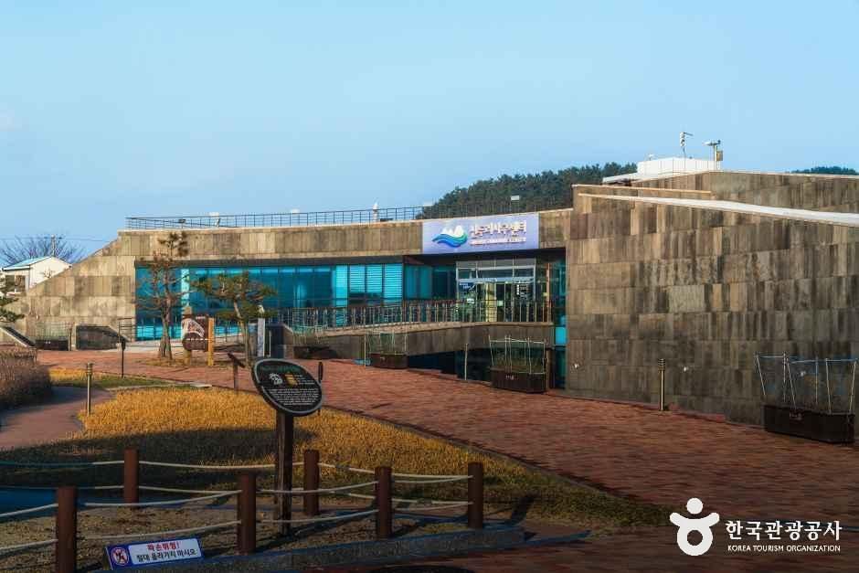 thumbnail-신두리사구센터-6