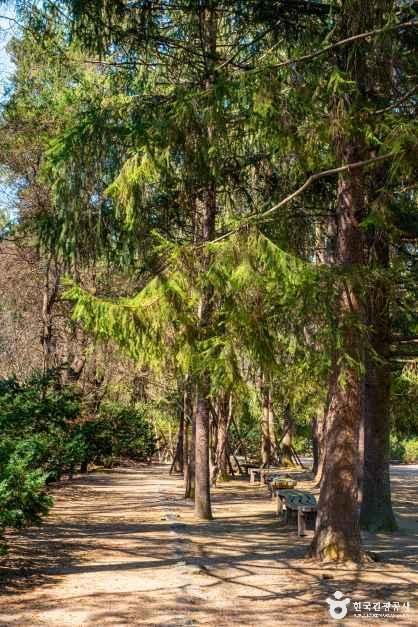 thumbnail-벽초지수목원-7