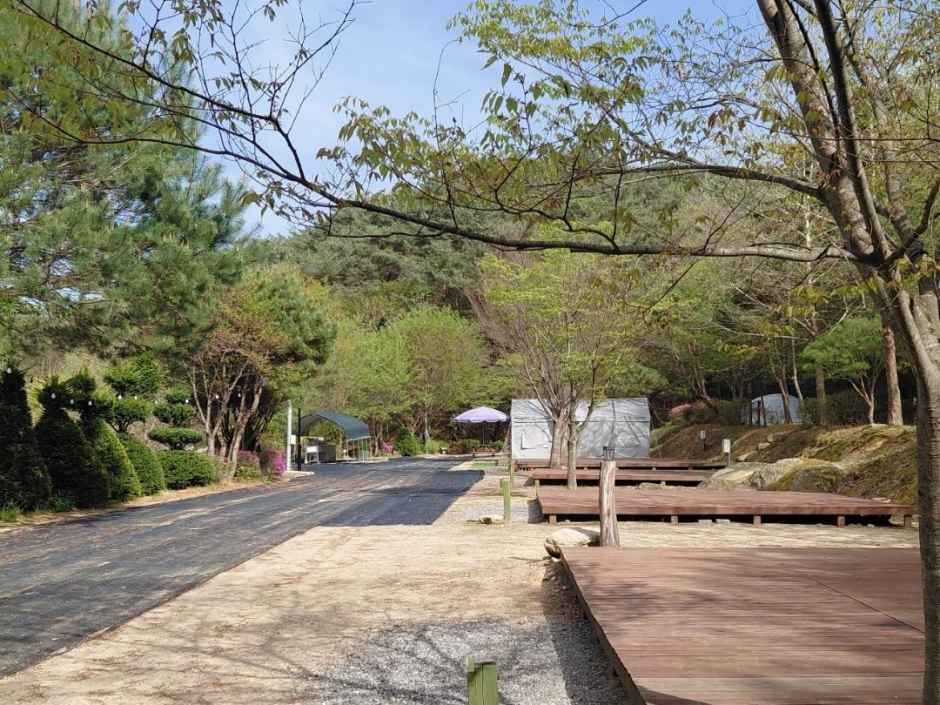 화양원탑오토캠핑장