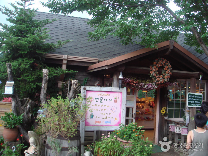Herb Island (포천 허브아일랜드)