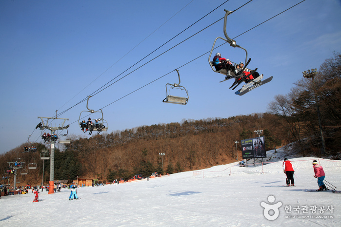 Ski-Resort Yangji Pine (양지파인리조트 스키장)