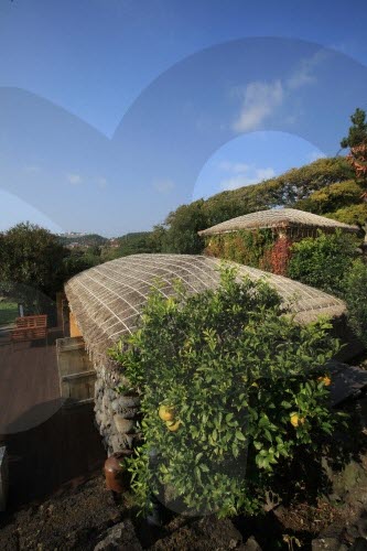 The Seaes Hotel & Resort (Traditional Style Hotel) (씨에스 호텔& 리조트)