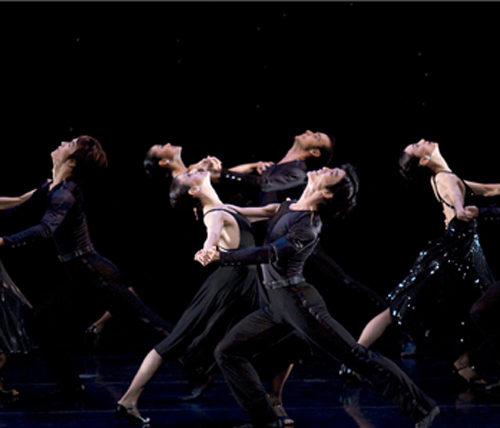 Busan International Dance Festival (BIDF) (부산 국제무용제)