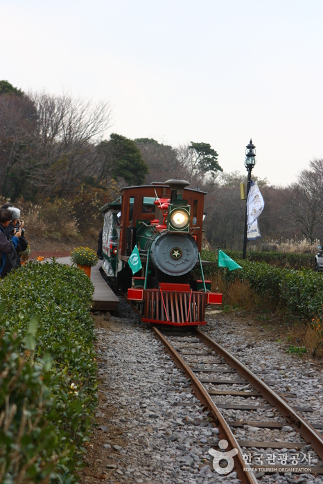 Eco Land Theme Park (에코랜드테마파크)