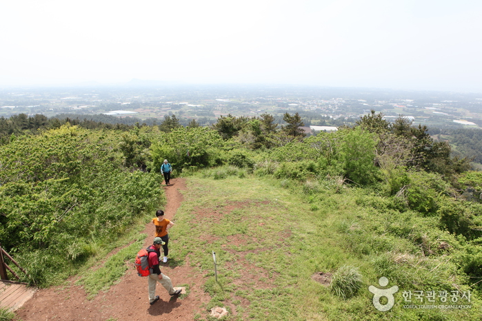 [제주올레 13코스] 용수-저지 올레4