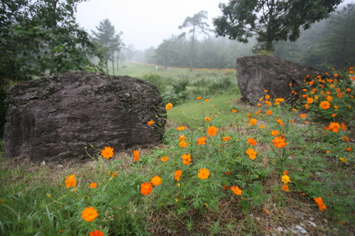 Hwasun Dolmen Site [UNESCO World Heritage] (화순 고인돌군 유적)