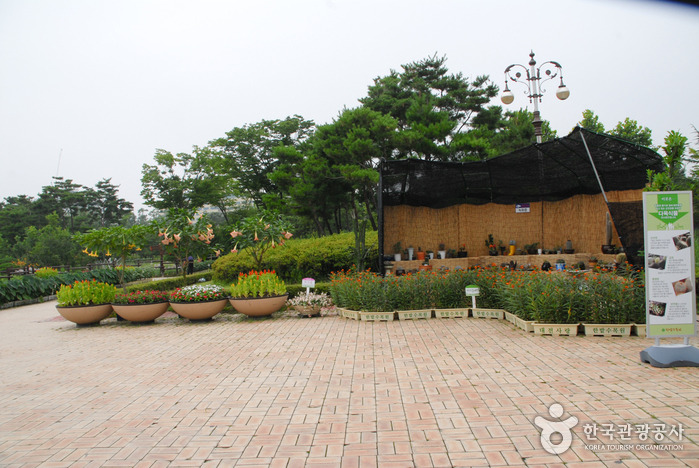 Hanbat Arboretum (한밭수목원)1