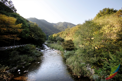 Banghwadong Natural Recreation Forest (방화동자연휴양림)