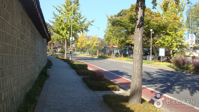 Calle Frontal de Cheongwadae (Casa Azul) (청와대 앞길)