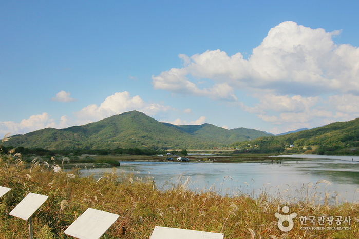비내길(비내섬)2