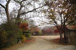 경북_청송_만바우촌03