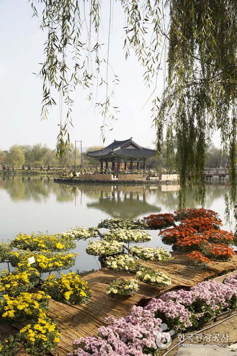 Парк Содон и дворцовый пруд Куннамчжи (서동공원과 궁남지)