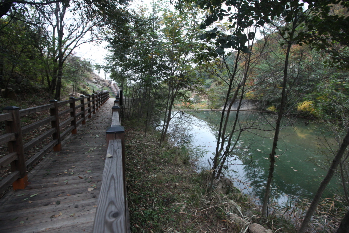 国立山林治療院（국립산림치유원）0