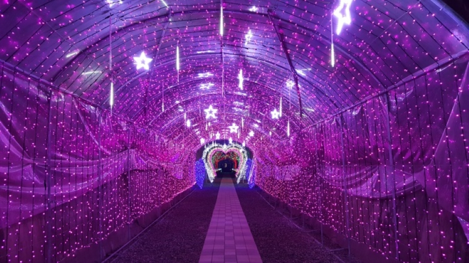 Osan Starlight Tunnel Barbecue (오산별빛터널바베큐)