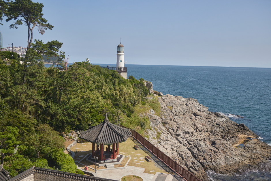 Taejongdae Cliffed Coast [National Geopark] (태종대 (부산 국가지질공원))