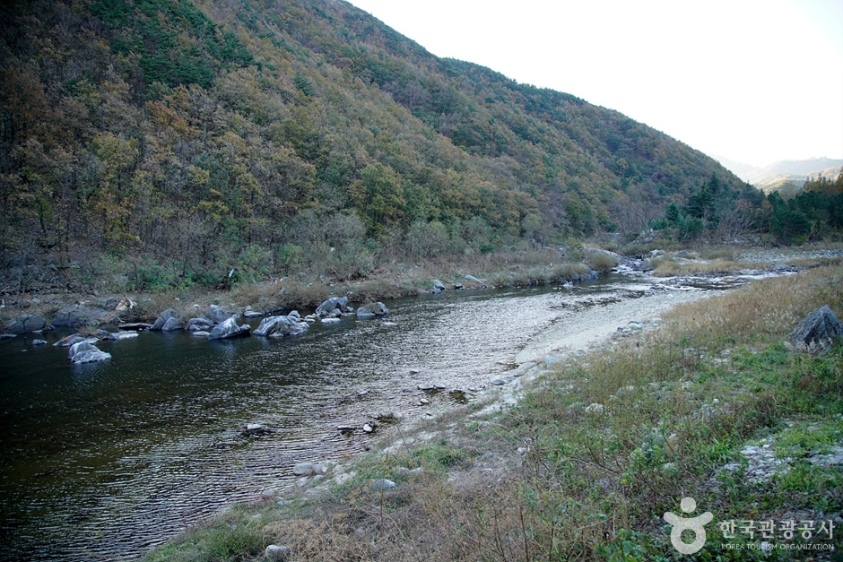 남대천(강릉)