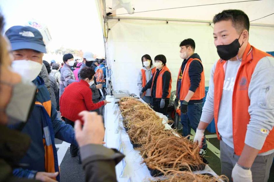 파주개성인삼축제