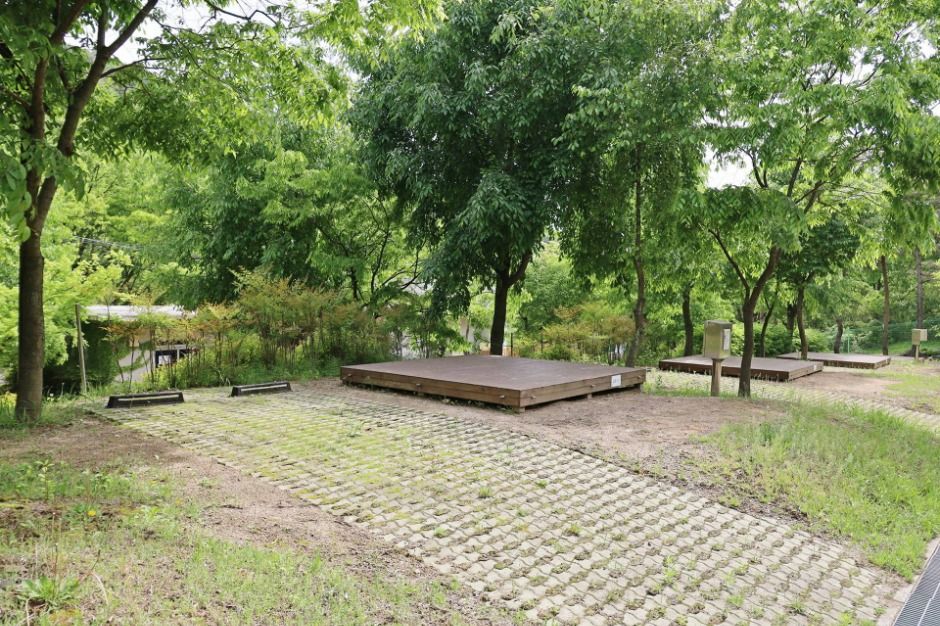 팔공산국립공원 도학야영장
