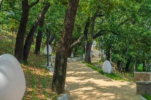 대구_대봉배수지 (5)