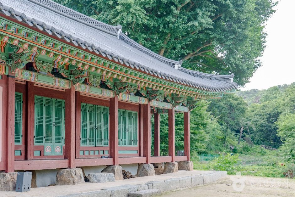 침괘정