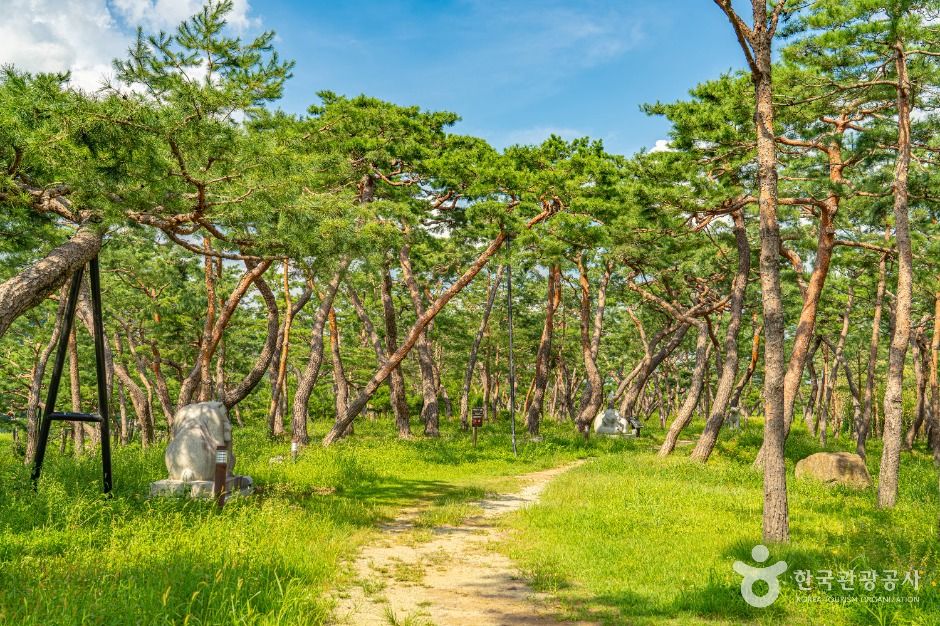 공주 고마나루