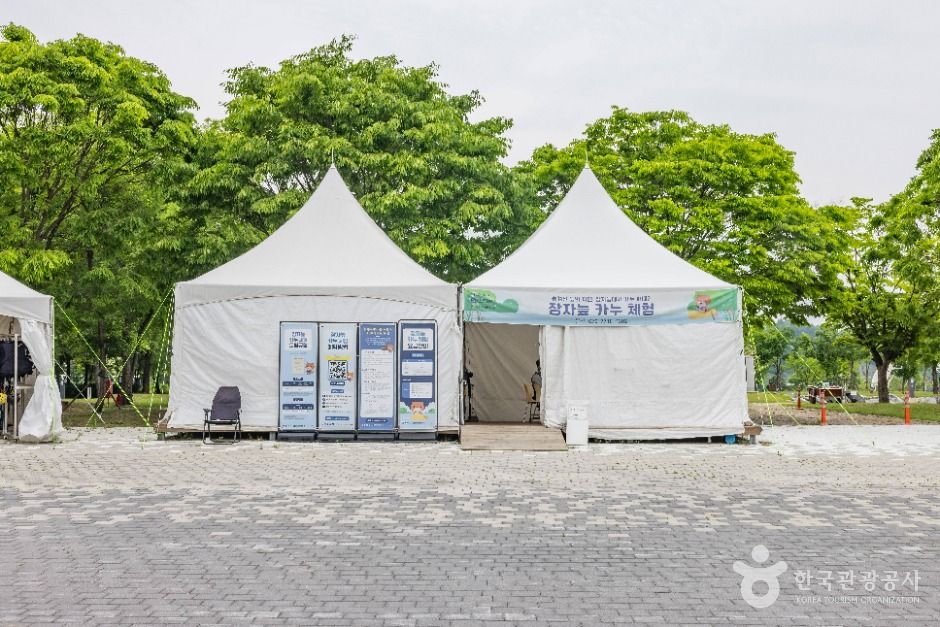 장자늪 카누체험장