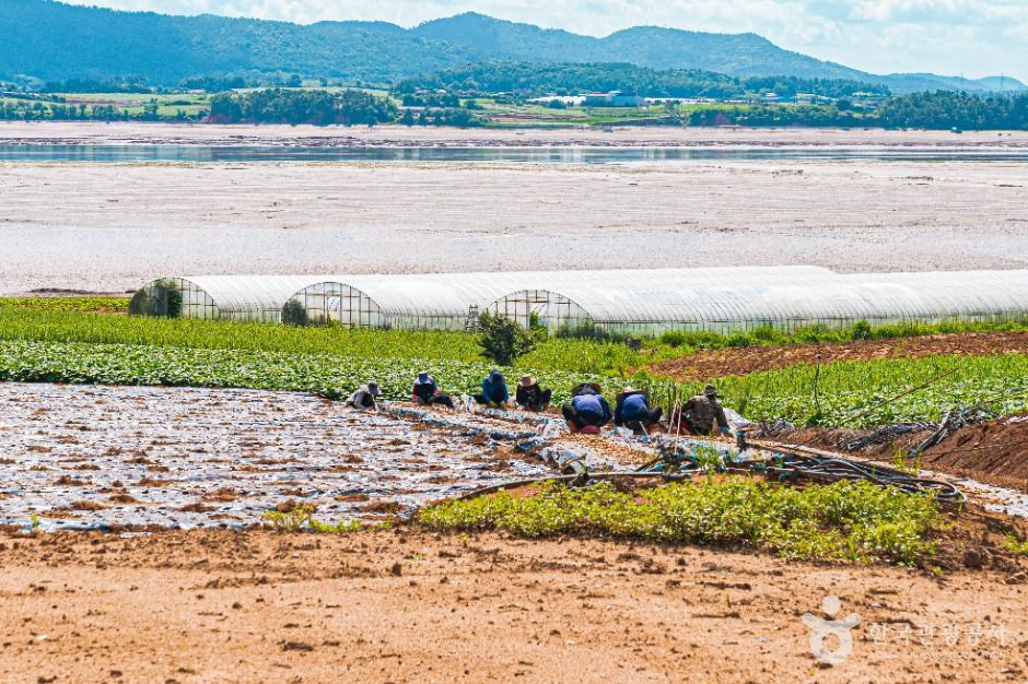 무안 감풀마을 [농촌전통테마]