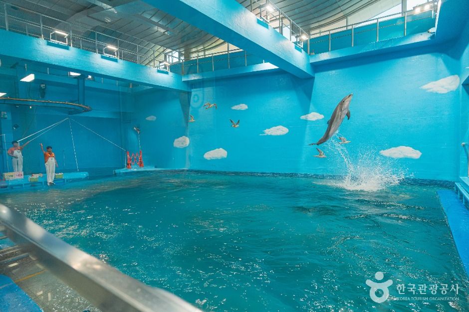 장생포 고래생태체험관