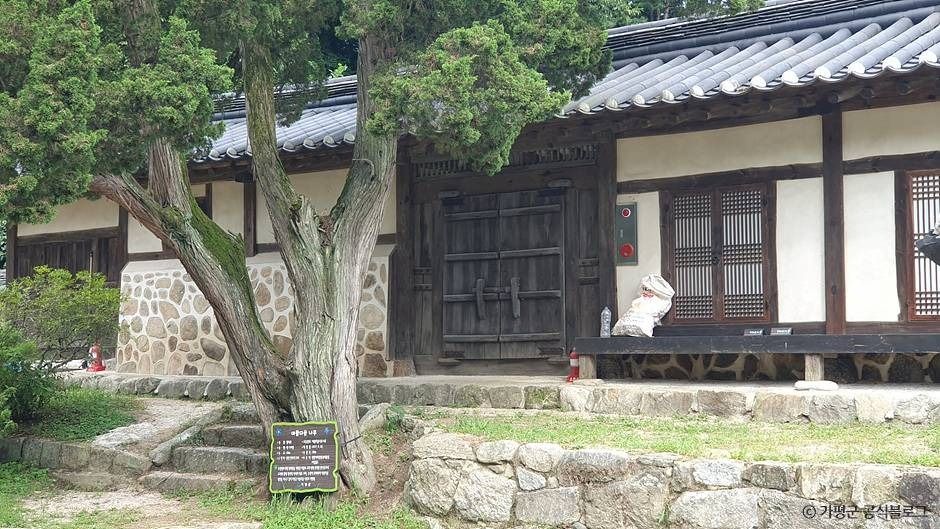 thumbnail-가평 연하리향나무-1