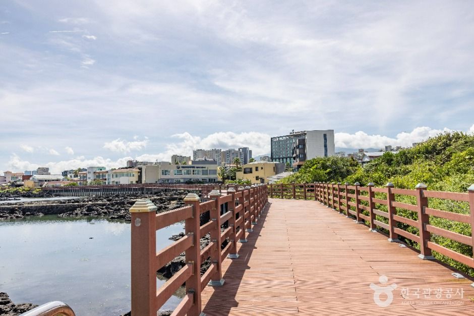 제주_연대포구 (3)