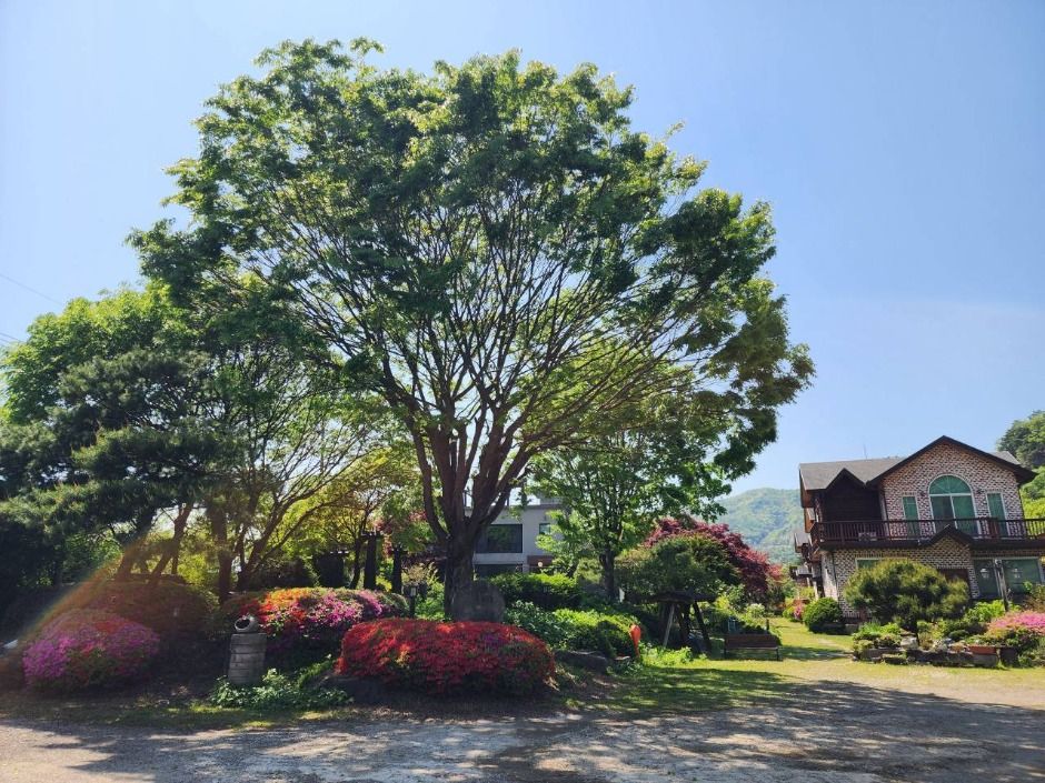 양평_물소리새소리 (1)