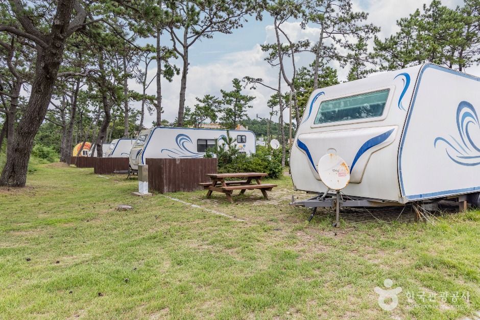 설레미해수욕장