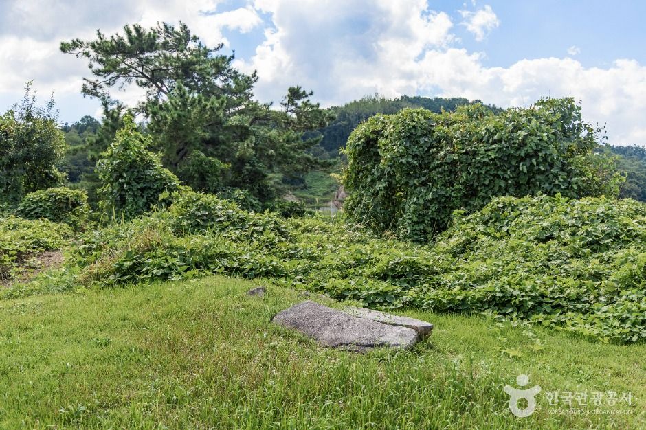 금산 천내리 용화리 고인돌