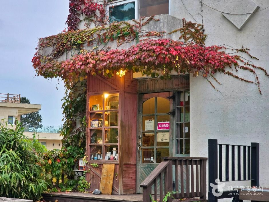 보헤미안 박이추커피