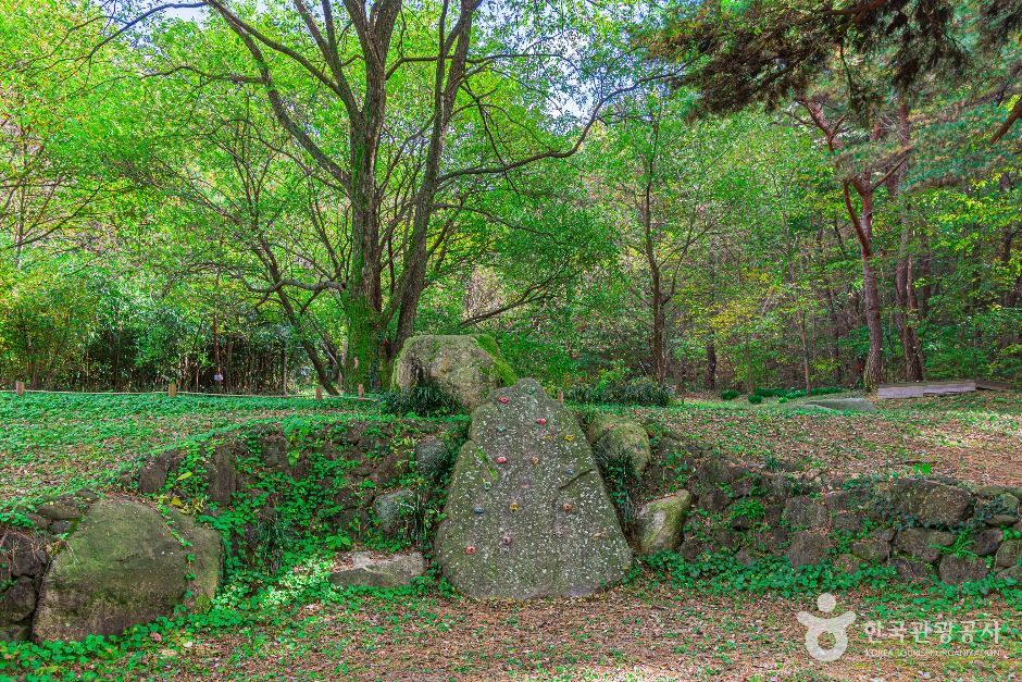 광주_제봉산 마법의 숲 체험원 (6)