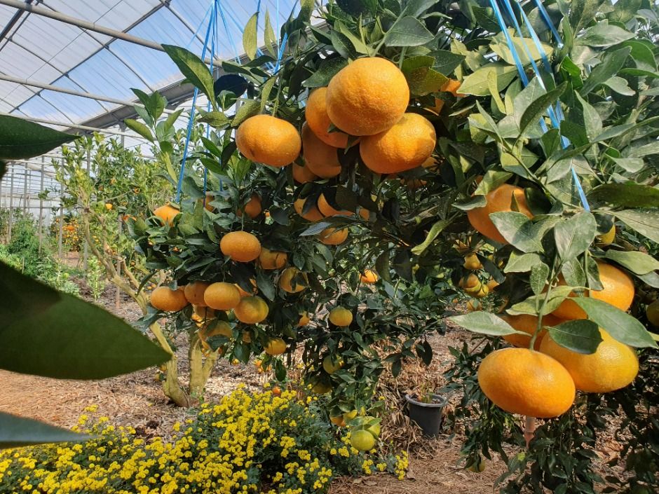 해품은체험농장