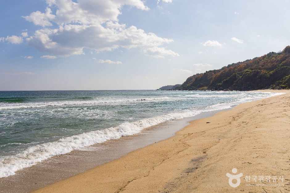 고성_강원평화누리길 19코스 고성 통일로 가는길 (4)