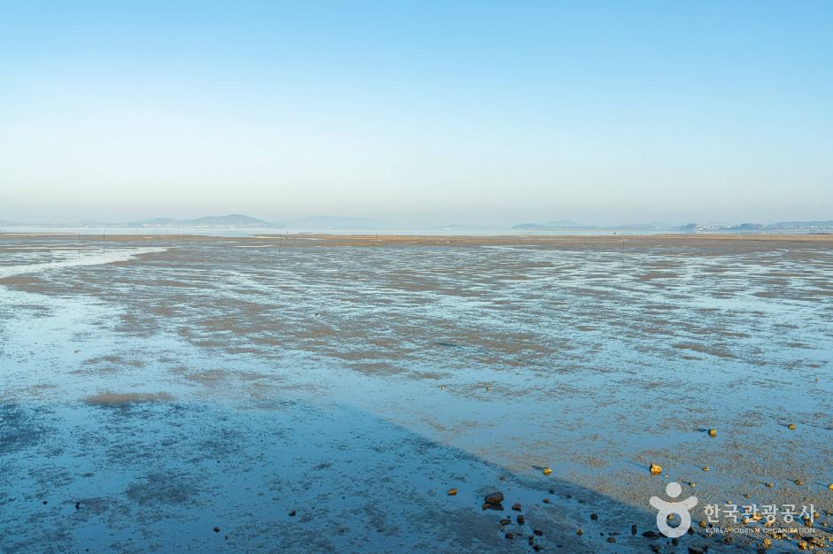 무안_무안낙지공원 (5)