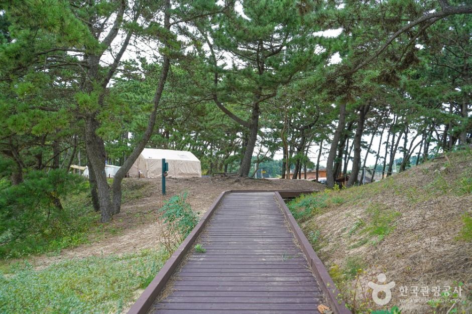 태안_구례포천사길 (2)