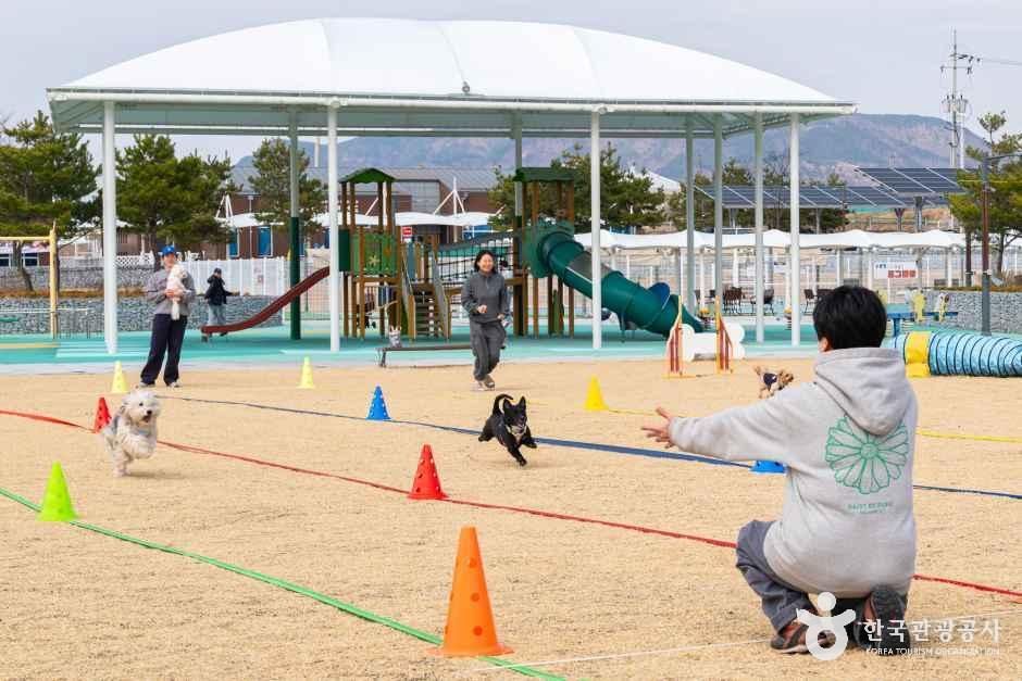 thumbnail-의성 펫월드-12