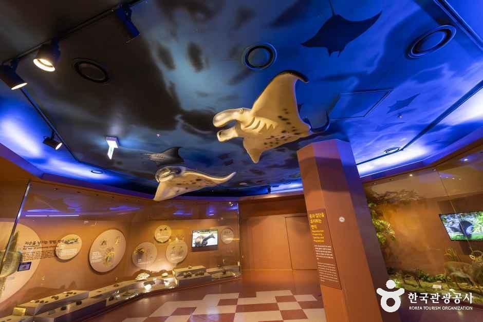 thumbnail-강화자연사박물관-9