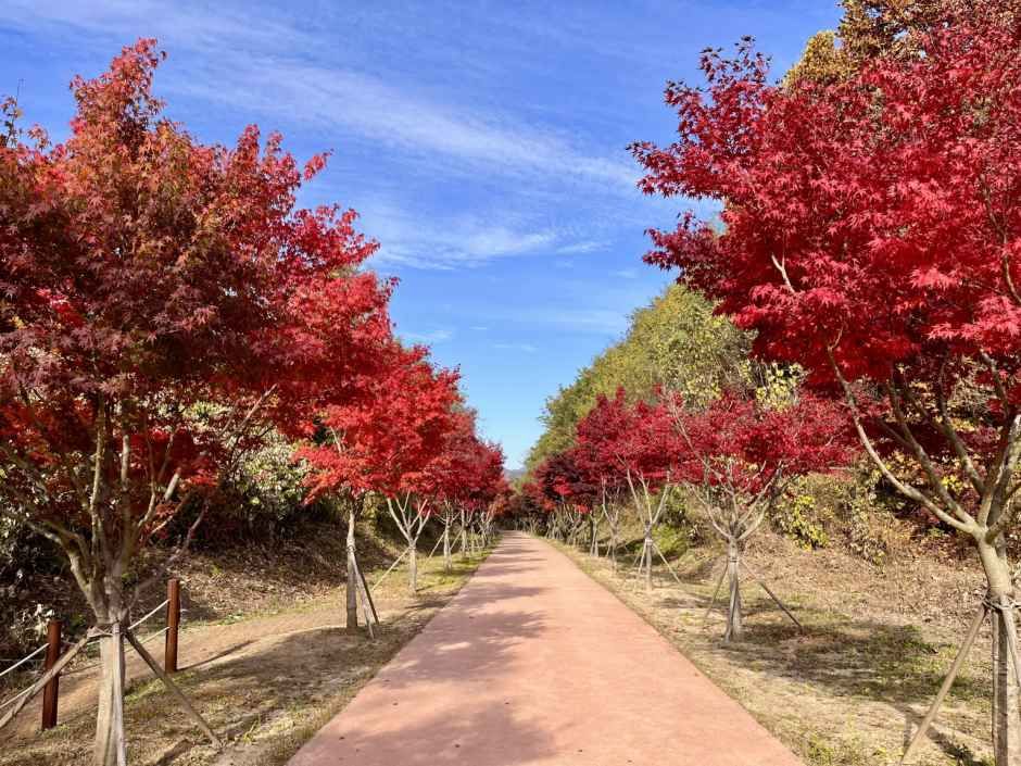 thumbnail-치악산 바람길숲-10