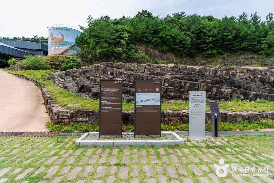 thumbnail-화순 서유리 공룡발자국 화석산지-13