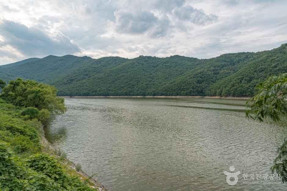 thumbnail-주암산가창저수지-1