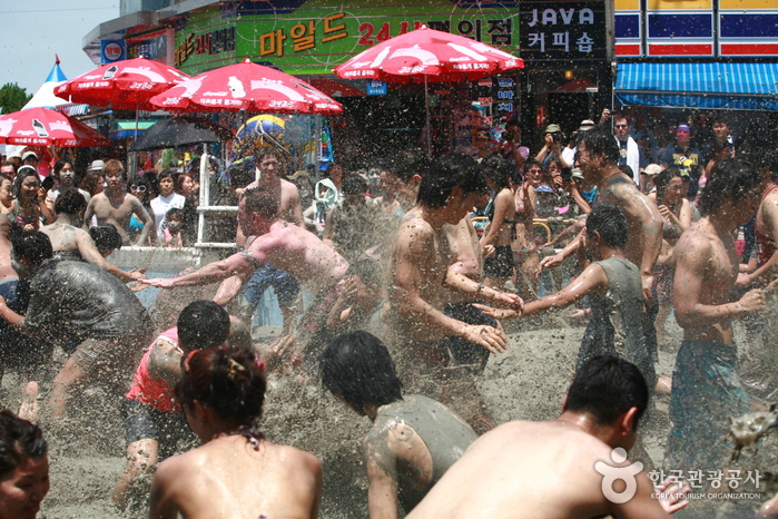 Boryeong Mud Festival (보령머드축제)