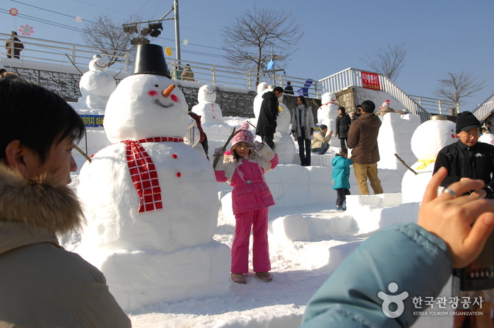 Hwacheon Sancheoneo Ice Festival (얼음나라 화천산천어축제)