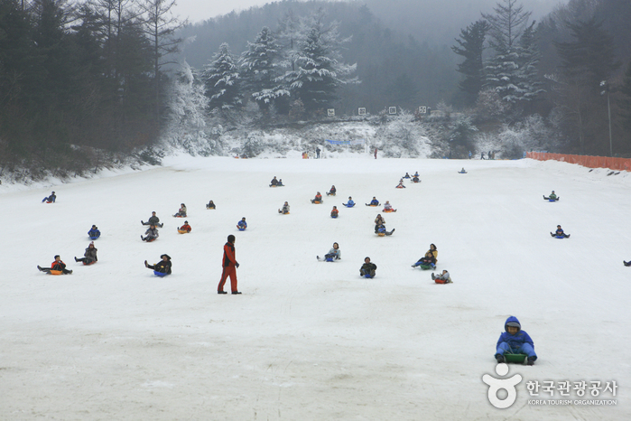 杨平韩华度假村雪橇场(양평한화리조트 눈썰매장)