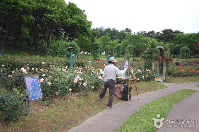 Seoul Grand Park (서울대공원-서울동물원)