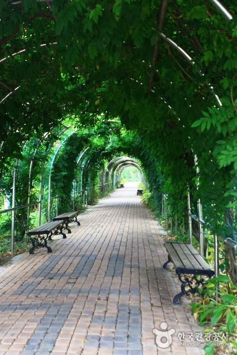 Mulhyanggi Arboretum (물향기수목원)